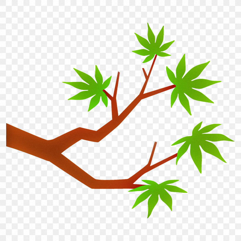 Maple Branch Maple Leaves Maple Tree, PNG, 1200x1200px, Maple Branch, Flower, Hemp Family, Herbal, Leaf Download Free