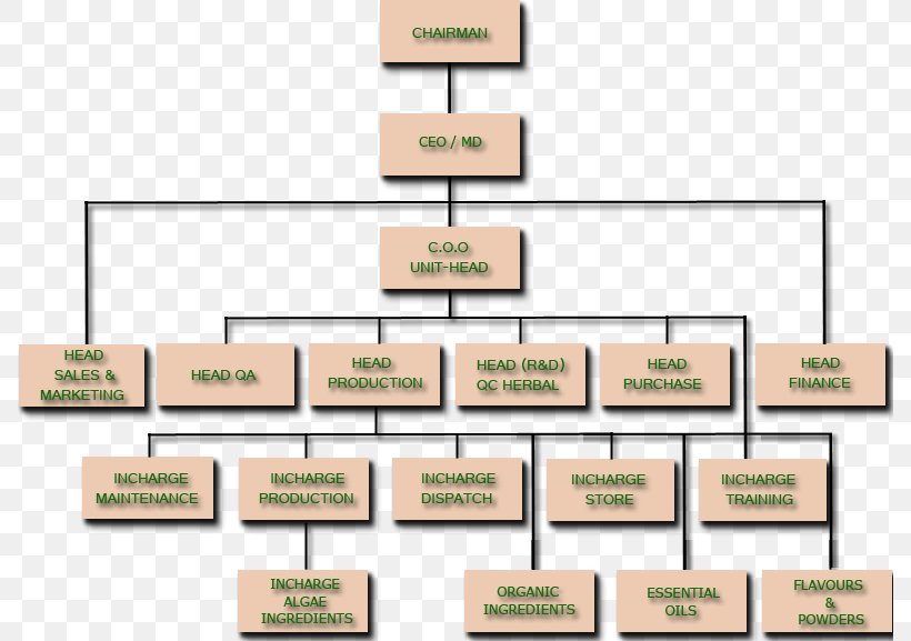 Organizational Chart Business Diagram, PNG, 788x577px, Organizational Chart, Area, Business, Chart, Diagram Download Free