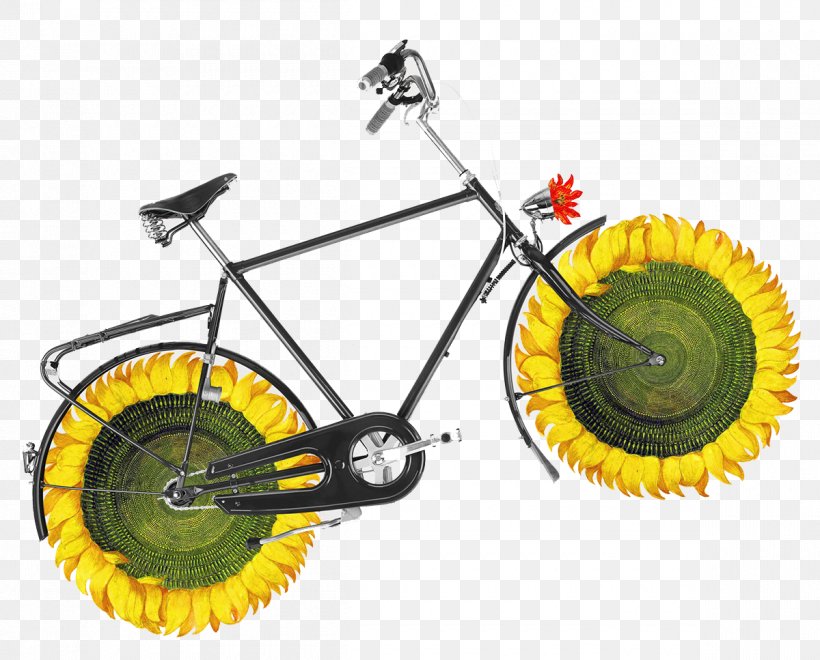 Bicycle Wheel Art Collage Illustration, PNG, 1200x967px, Bicycle Wheel, Art, Art Blog, Bicycle, Bicycle Accessory Download Free