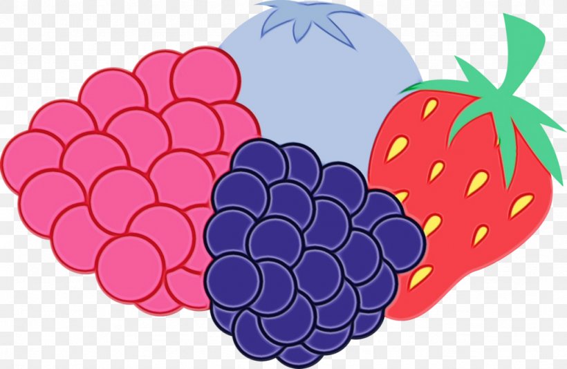Family Heart, PNG, 1024x667px, Watercolor, Berry, Blackberry, Fruit, Grape Download Free