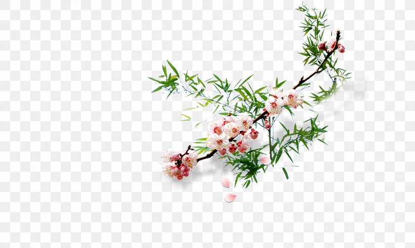 Flower Plum Blossom, PNG, 1000x600px, Flower, Apricot, Birdandflower Painting, Branch, Flora Download Free