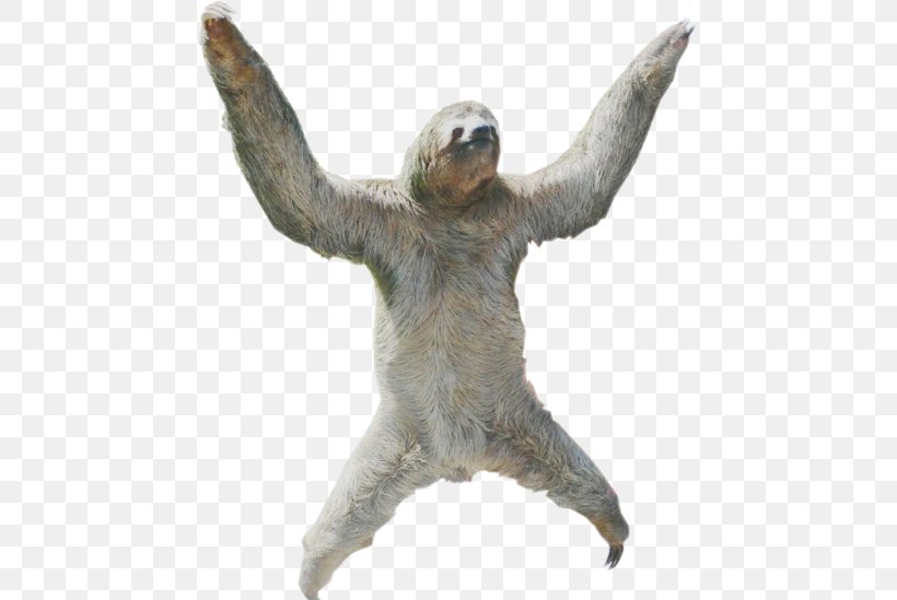 Hoffmann's Two-toed Sloth Portable Network Graphics Clip Art Image, PNG, 456x549px, Sloth, Fauna, Great Ape, Layers, Mammal Download Free