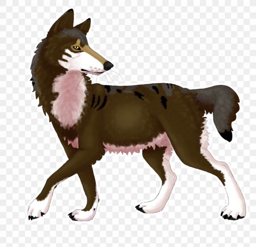 Shikoku Dog Breed Red Wolf Fauna Wildlife, PNG, 909x879px, Shikoku, Breed, Carnivoran, Dog, Dog Breed Download Free