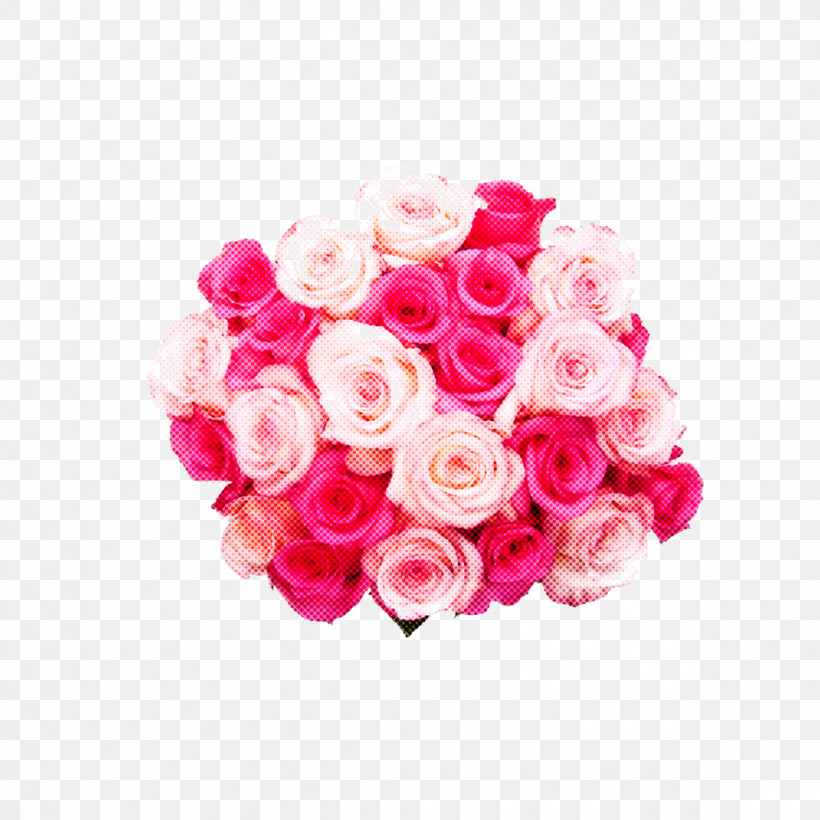 Garden Roses, PNG, 1200x1200px, Flower, Bouquet, Cut Flowers, Garden Roses, Pink Download Free
