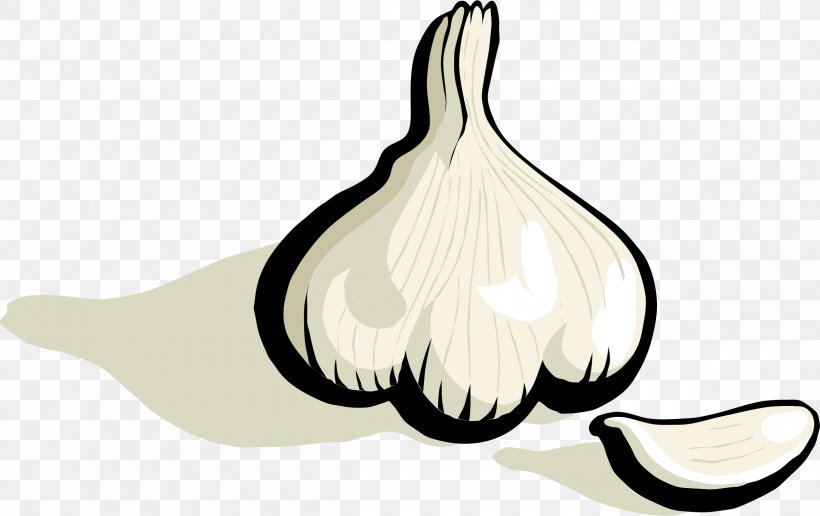 Garlic Bread Onion Clip Art, PNG, 2400x1511px, Garlic Bread, Beak, Bird, Black And White, Clove Download Free