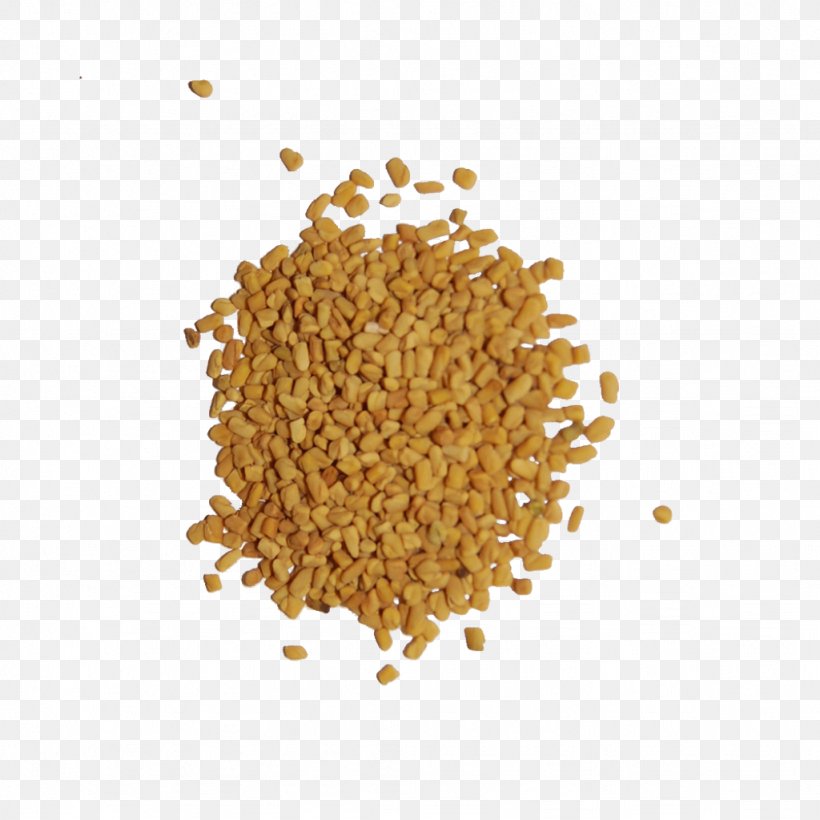 Indian Cuisine Spice Seed Herb Fenugreek, PNG, 1024x1024px, Indian Cuisine, Black Pepper, Cereal Germ, Cinnamon, Commodity Download Free
