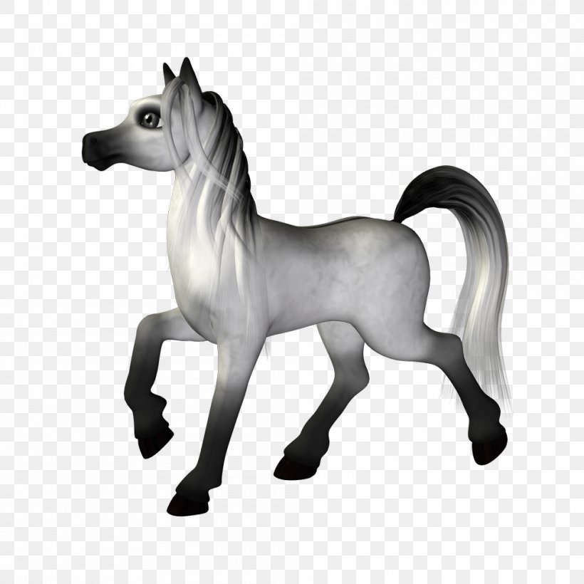 Mustang Lusitano Stallion Mane Colt, PNG, 1000x1000px, Mustang, Black And White, Colt, Equus, Gray Download Free