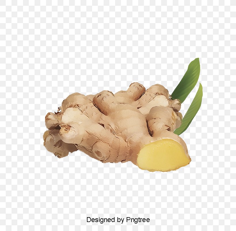 Vegetables Cartoon, PNG, 800x800px, Ginger, Curcuma, Food, Galangal, Ginger Family Download Free