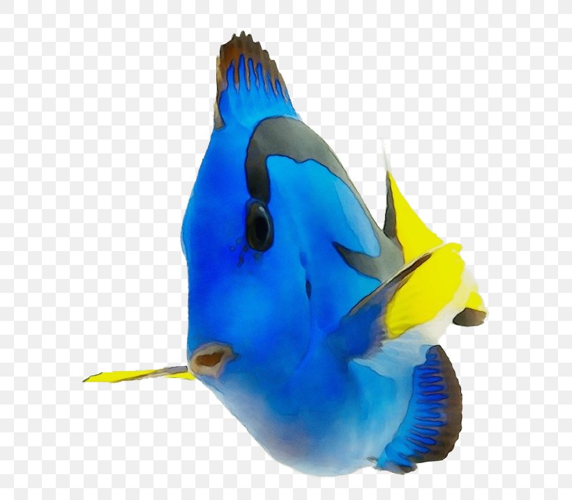 Coral Reef Background, PNG, 613x717px, Cobalt Blue, Beak, Biology, Blue, Butterflyfish Download Free