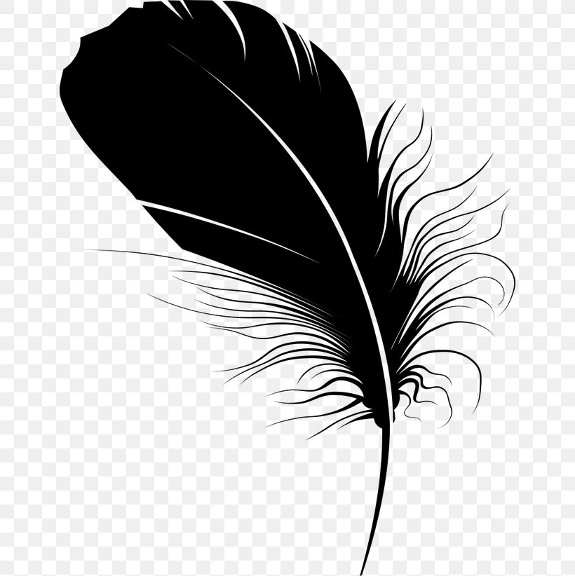 Feather Quill Pen Black, PNG, 650x822px, Feather, Black, Black And White, Color, Gratis Download Free