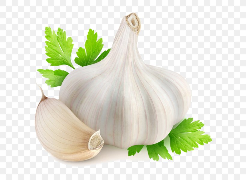 Garlic Herbalism Food Medicine, PNG, 600x600px, Garlic, Allicin, Alliin, Food, Health Download Free