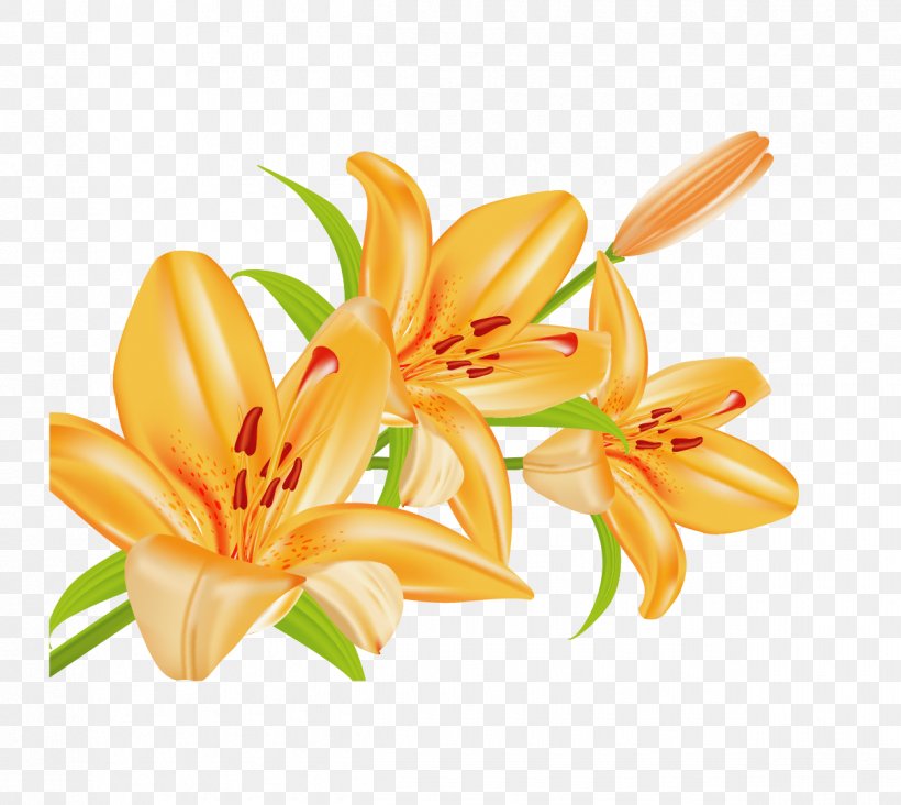 Lilium Bulbiferum Euclidean Vector Download, PNG, 1250x1117px, Lilium Bulbiferum, Bud, Cut Flowers, Daylily, Floral Design Download Free