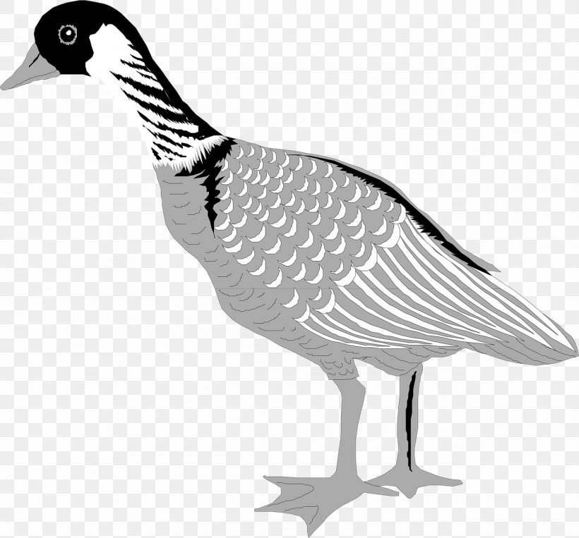 Domestic Goose Duck Bird Greylag Goose, PNG, 1280x1192px, Goose, Anseriformes, Beak, Bird, Black And White Download Free