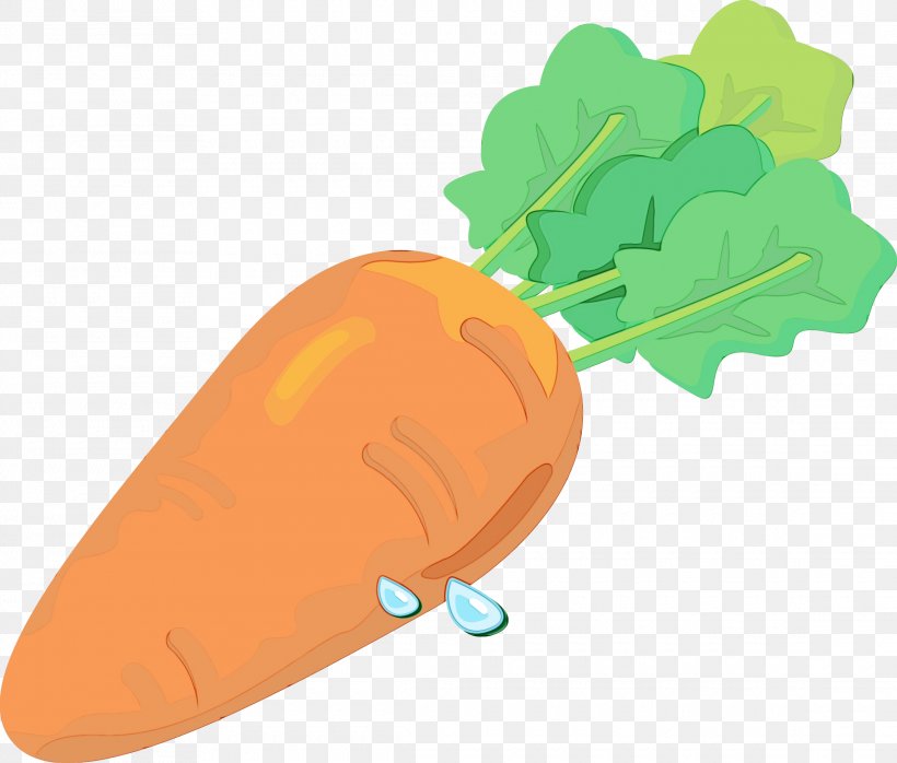 Leaf Watercolor, PNG, 2280x1943px, Watercolor, Carrot, Carrot Cake, Cartoon, Food Download Free