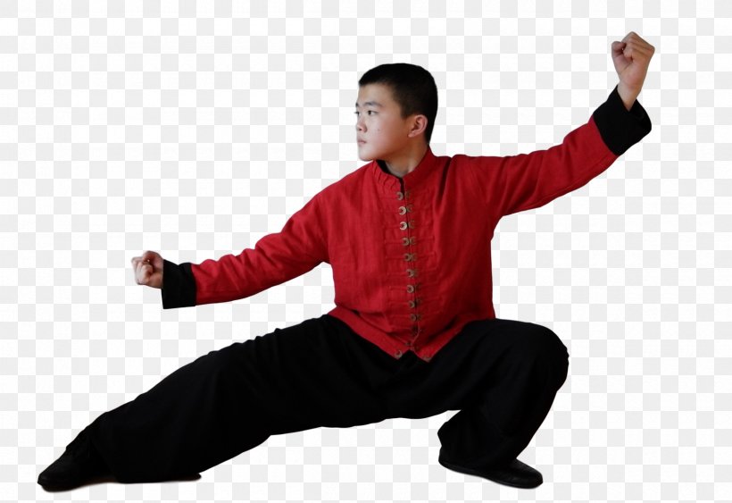 Tai Chi Uniform, PNG, 2400x1649px, Tai Chi, Baguazhang, Chinese Martial Arts, Physical Fitness, Shoe Download Free