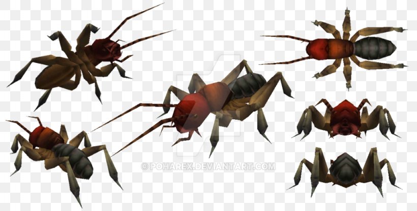 Carnivores 2 Mandible Insect, PNG, 1024x520px, Carnivores 2, Animal, Arthropod, Carnivore, Carnivores Download Free