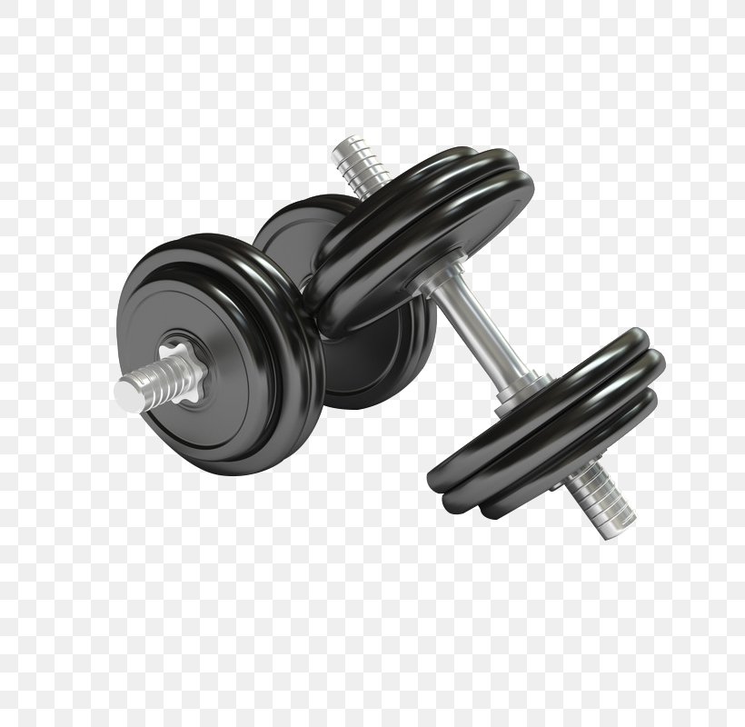 Dumbbell Exercise Equipment Physical Exercise Olympic Weightlifting Barbell, PNG, 800x800px, Dumbbell, Barbell, Bodybuilding, Coreldraw, Exercise Equipment Download Free