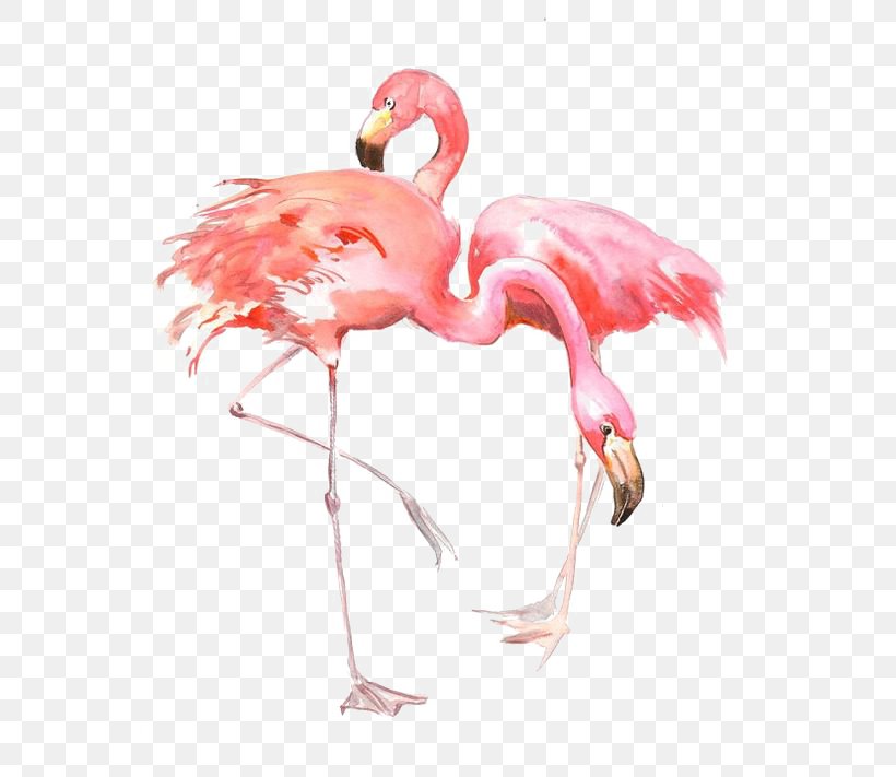 Flamingo AllPosters.com Printing Painting Printmaking, PNG, 564x711px, Printmaking, Art, Artist, Beak, Bird Download Free