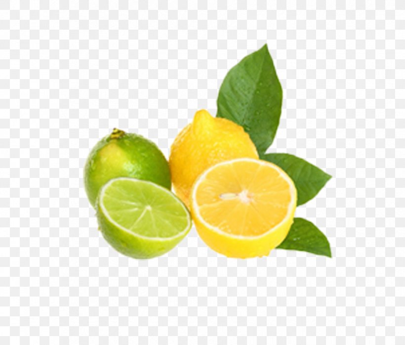 Juice Lemon Infusion Water Bottle, PNG, 850x724px, Juice, Bisphenol A, Bottle, Citric Acid, Citron Download Free