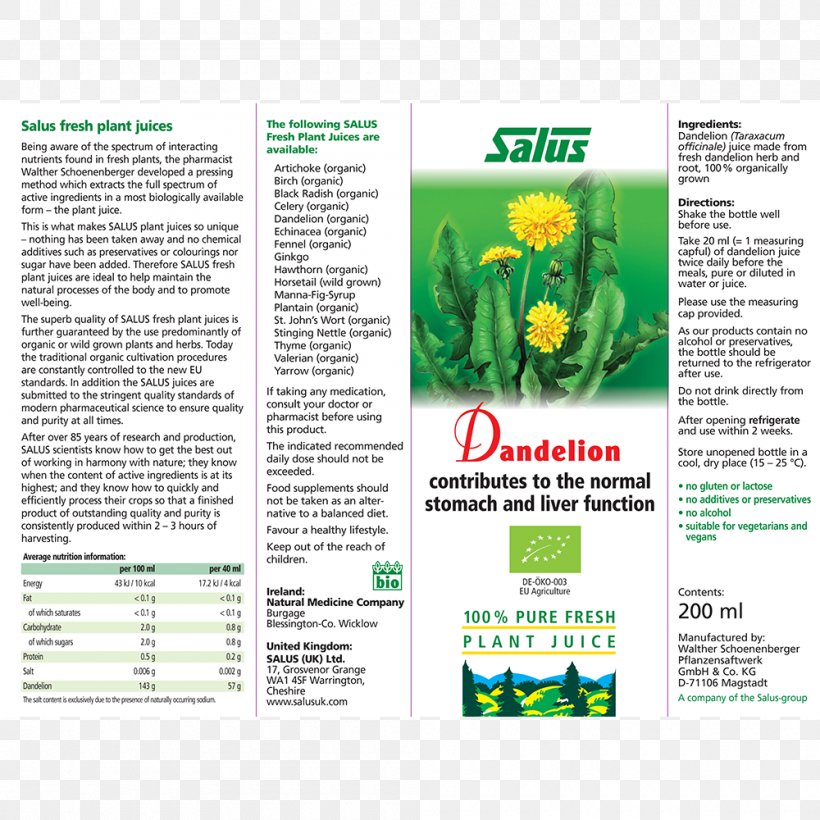Juice Plant Common Dandelion Juicing Artichoke, PNG, 1000x1000px, Juice, Artichoke, Brand, Brochure, Common Dandelion Download Free