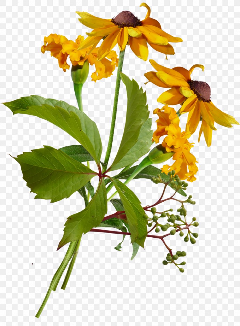Plant Stem Flowering Plant Herbaceous Plant Wildflower, PNG, 942x1280px, Plant Stem, Flora, Flower, Flowering Plant, Herbaceous Plant Download Free