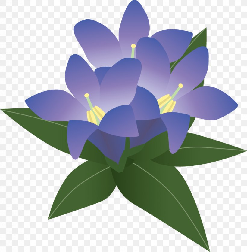 Purple Illustration, PNG, 977x1000px, Purple, Blue, Color, Floral Design, Flower Download Free