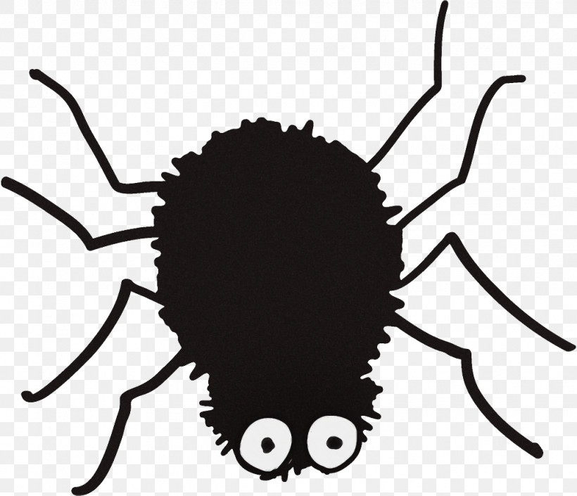 Spider Halloween, PNG, 1028x884px, Spider, Halloween, Insect, Pest Download Free