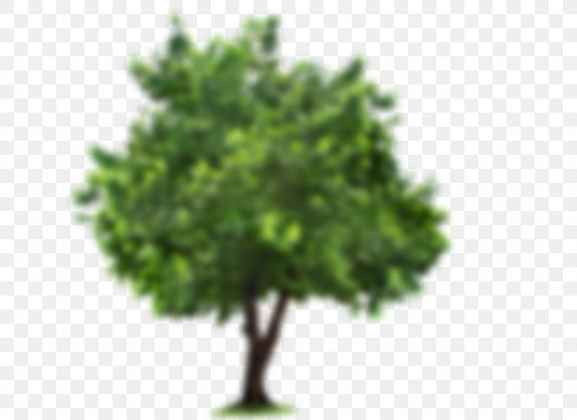 Tree Clip Art, PNG, 1024x746px, Tree, Branch, Evergreen, Grass, Image Resolution Download Free