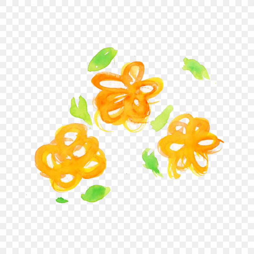 Orange, PNG, 2000x2000px, Watercolor Flower, Orange, Plant, Yellow Download Free