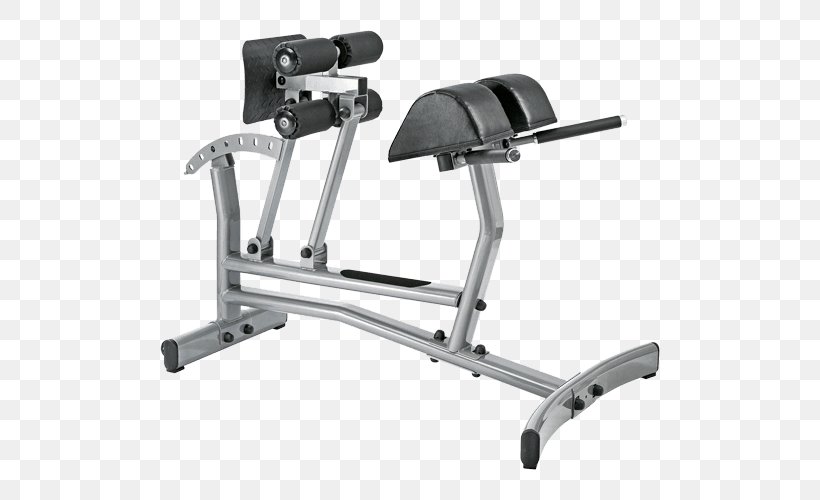 Roman Chair Bench Crunch Exercise Equipment Hyperextension Png