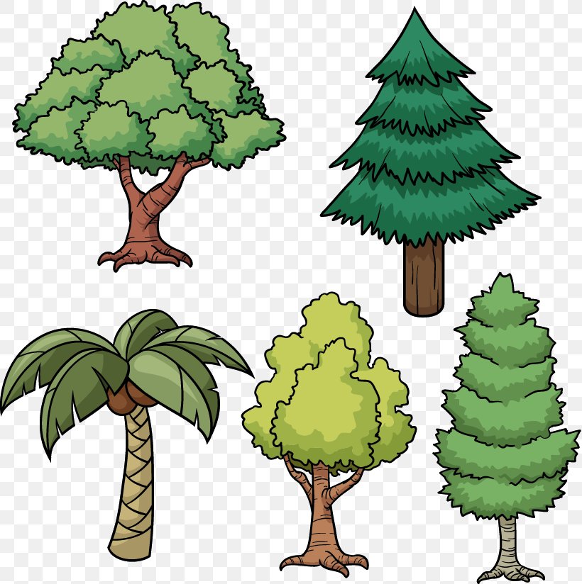 Tree Drawing Cartoon Pine, PNG, 819x824px, Tree, Arecaceae, Branch, Cartoon, Christmas Tree Download Free