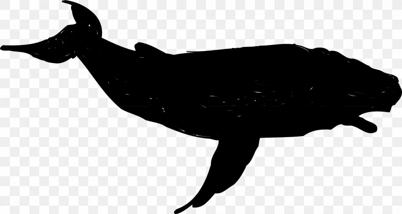 Beak Clip Art Fauna Silhouette Marine Mammal, PNG, 1920x1025px, Beak, Fauna, Mammal, Marine Mammal, Silhouette Download Free