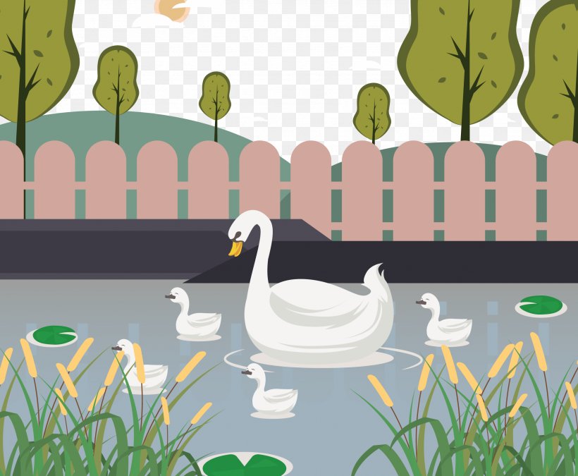 Duck Cygnini Illustration, PNG, 2272x1872px, Duck, Beak, Bird, Cygnini, Ducks Geese And Swans Download Free