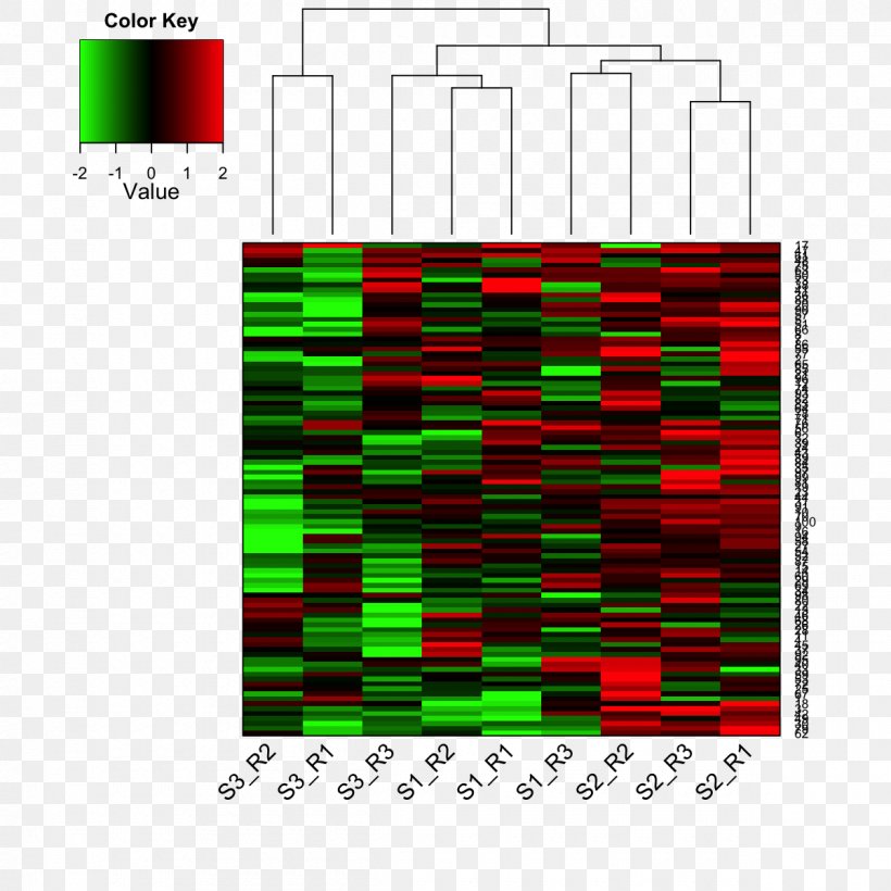 Heat Map Dendrogram Matrix Data, PNG, 1200x1200px, Heat Map, Area, Cyan, Data, Data Matrix Download Free