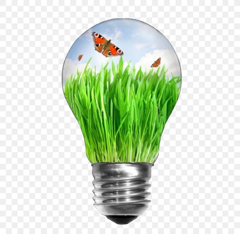 Incandescent Light Bulb Renewable Energy Stock Photography Efficient Energy Use, PNG, 566x800px, Incandescent Light Bulb, Alternative Energy, Efficient Energy Use, Electric Light, Electricity Download Free