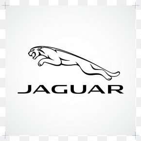 Jaguar Performance Eau De Toilette Spray Jaguar Classic Men Eau De Toilette 40 Ml Perfume PNG