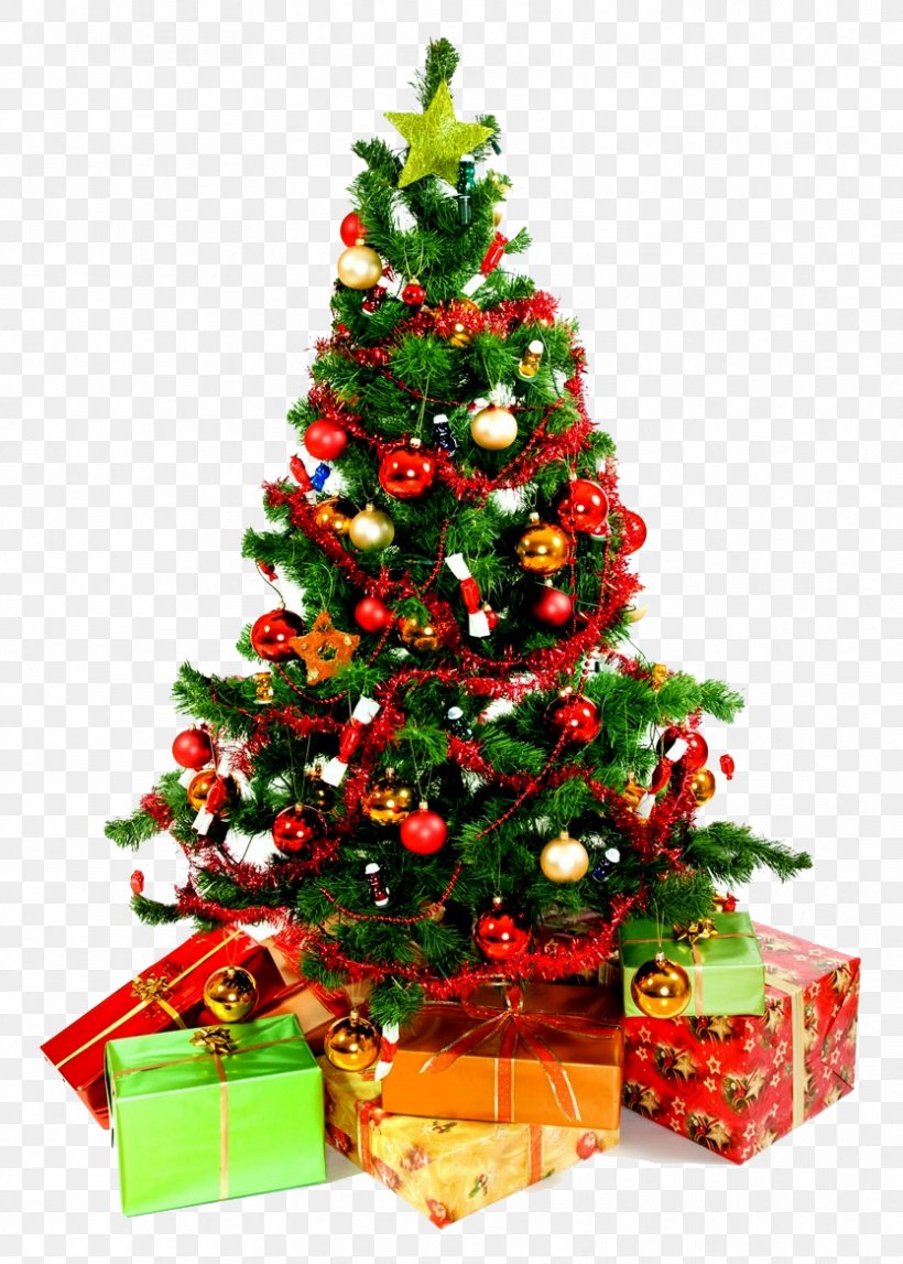 Santa Claus Christmas Tree Christmas Ornament, PNG, 834x1167px, Santa Claus, Artificial Christmas Tree, Balsam Hill, Christmas, Christmas And Holiday Season Download Free