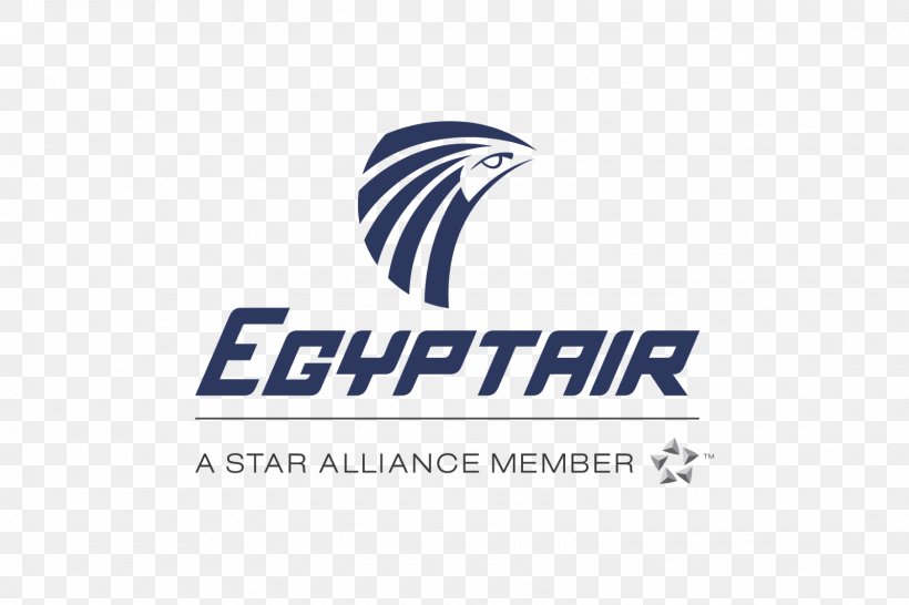 EgyptAir Flight 804 Airbus A330 Airline, PNG, 1600x1067px, Egypt, Air China, Air India, Airbus A330, Airline Download Free