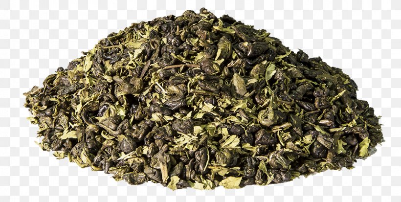 Anise Tea Herb Meghli Child, PNG, 857x432px, Anise, Assam Tea, Biluochun, Ceylon Tea, Chamomile Download Free