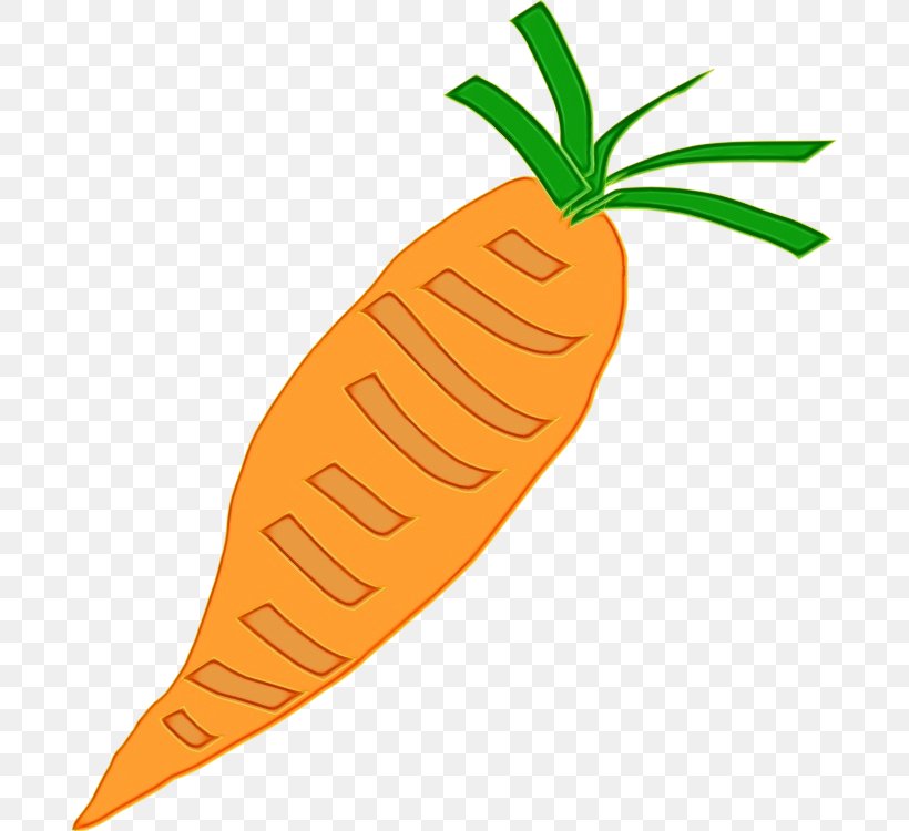 Carrot Cartoon, PNG, 689x750px, Carrot, Baby Carrot, Carrot Cake, Carrot Salad, Carrot Soup Download Free