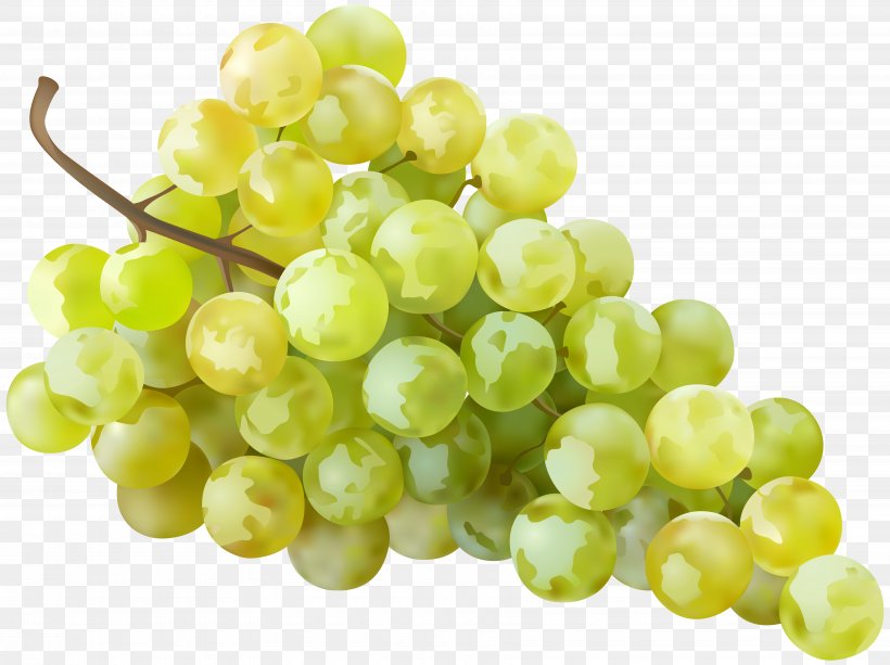 White Wine Sultana Grape Clip Art, PNG, 7000x5235px, Muscat, Food, Fruit, Grape, Grape Seed Extract Download Free
