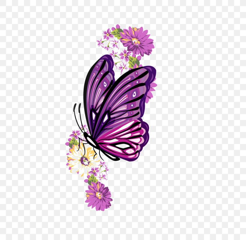Butterfly Insect Drawing, PNG, 447x800px, Butterfly, Brush Footed Butterfly, Butterflies And Moths, Drawing, Flora Download Free
