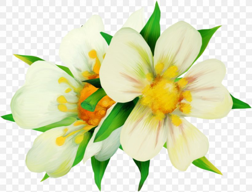 Color Astana Clip Art, PNG, 1795x1367px, Color, Alstroemeriaceae, Amaryllis Family, Astana, Cut Flowers Download Free