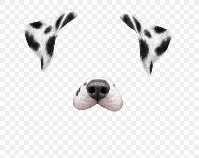 Dalmatian Dog Puppy Snapchat Dancing Hot Dog, PNG, 750x654px, Dalmatian Dog, Carnivoran, Cat People And Dog People, Costume, Dalmatian Download Free