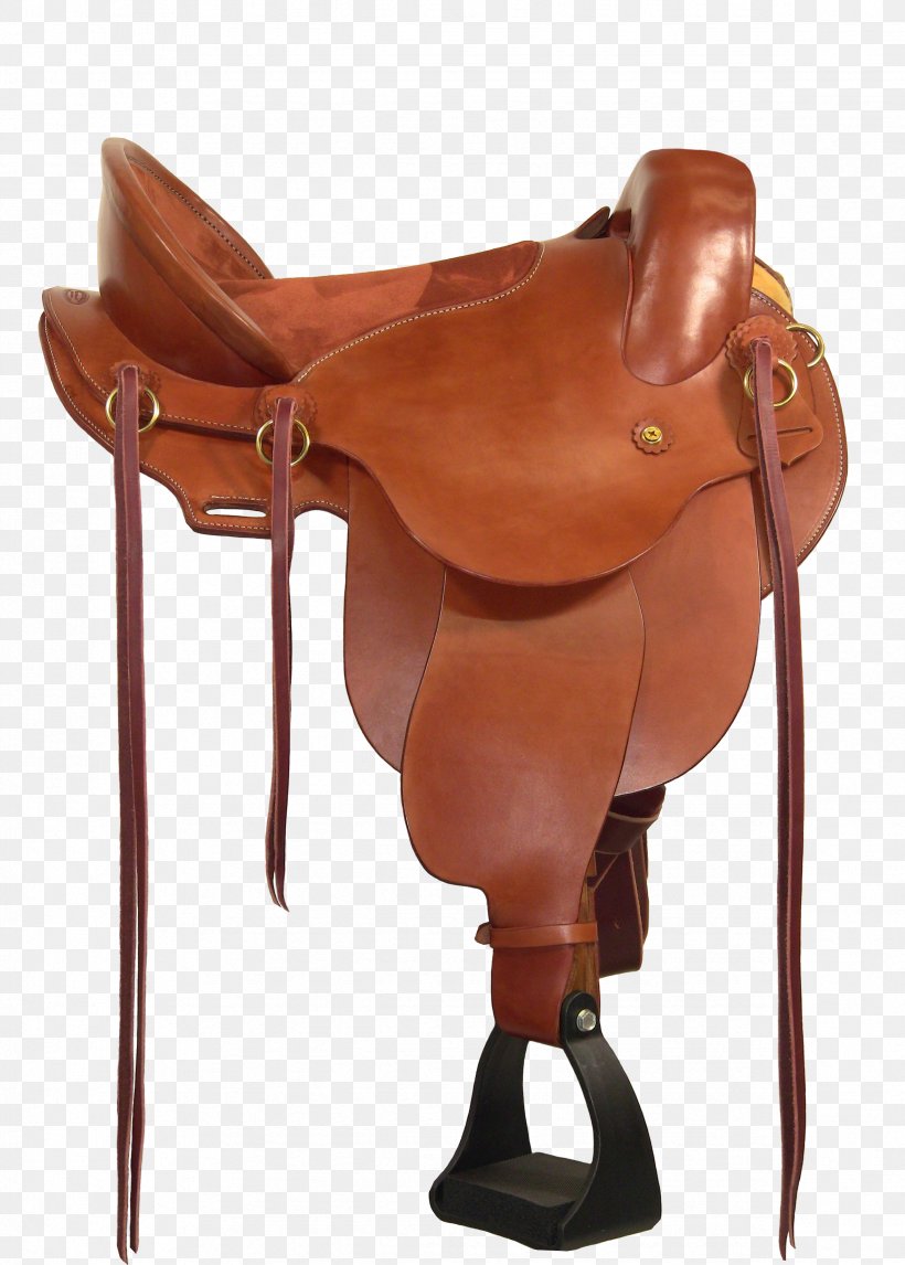 Horse Rein Halter Bridle Saddle, PNG, 2348x3282px, Horse, Bicycle Saddle, Bridle, Halter, Horse Like Mammal Download Free