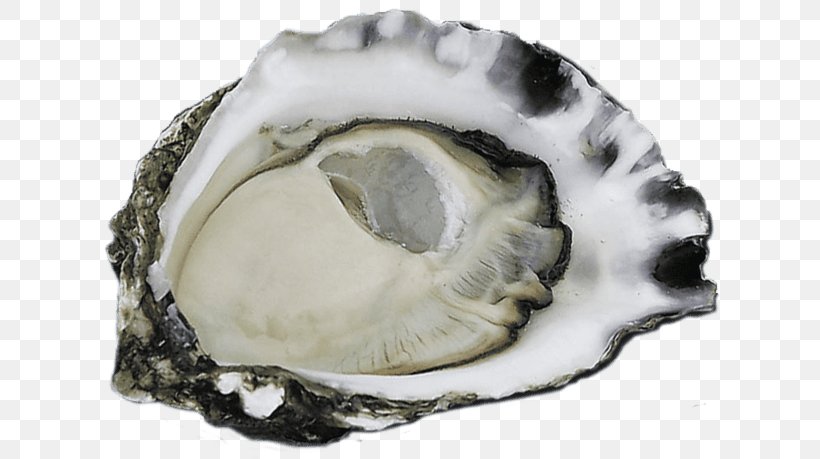 Oyster Bondi Trattoria Clam Child Eating, PNG, 640x459px, Oyster, Adult, Animal Source Foods, Child, Clam Download Free