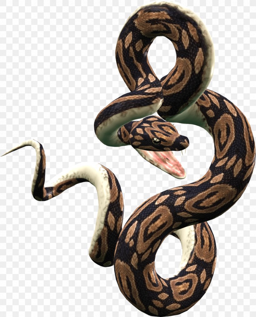 Snake Image Picture Download - Snake Lizard Reptile PNG