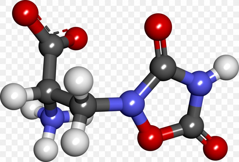 Chemistry Renal Function, PNG, 1470x1000px, Chemistry, Filtration, Glomerulus, Renal Function Download Free