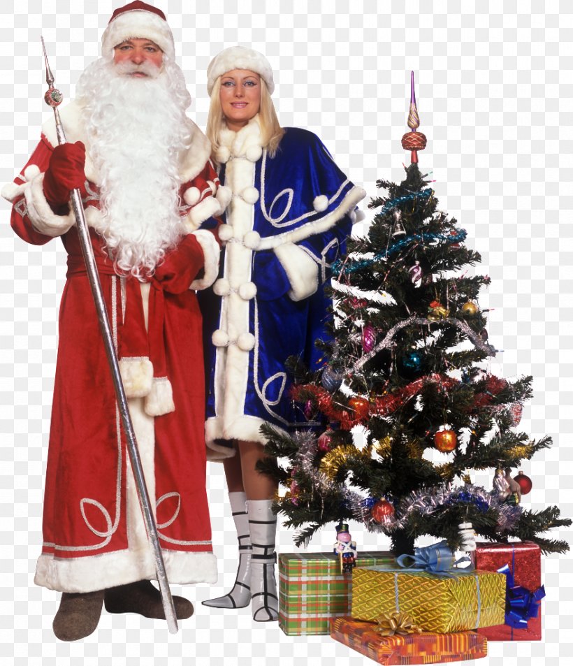 Ded Moroz Snegurochka Grandfather Ziuzia Holiday, PNG, 881x1024px, Ded Moroz, Birthday, Child, Christmas, Christmas Decoration Download Free