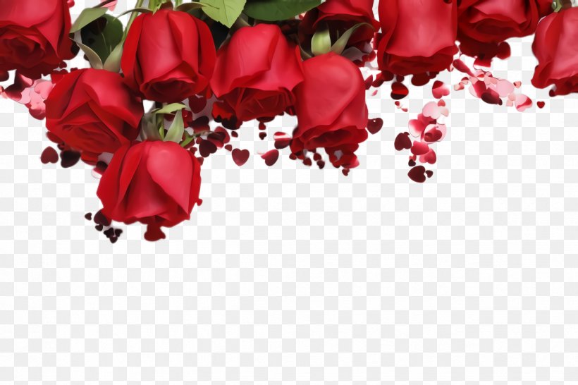 Garden Roses, PNG, 2448x1632px, Red, Bouquet, Cut Flowers, Flower, Garden Roses Download Free